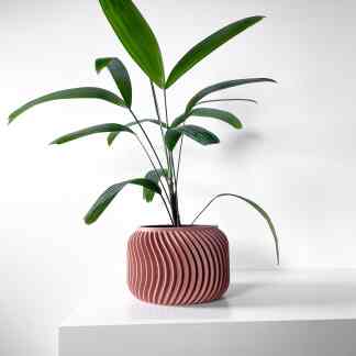 Green leafy houseplant in a decorative pink ceramic planter, contemporary interior decor.