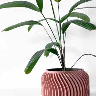 Stylish indoor plant in pink ceramic pot with green leaves, perfect for home decor.