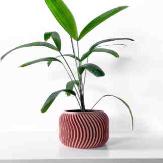 Elegant green indoor plant in a decorative pink ceramic pot, ideal for enhancing interior aesthetics.