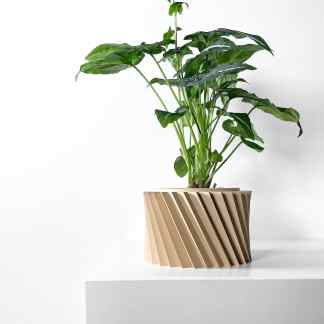 Stylish indoor houseplant in beige geometric ceramic pot on white background.