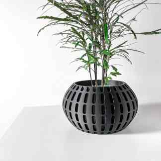 Stylish black geometric planter with lush green indoor plant for contemporary home decoration.